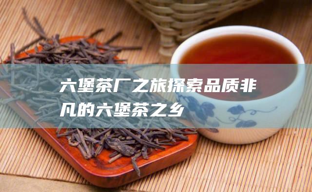 六堡茶厂之旅：探索品质非凡的六堡茶之乡