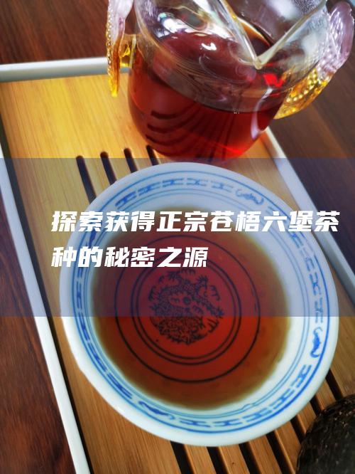 探索获得正宗苍梧六堡茶种的秘密之源