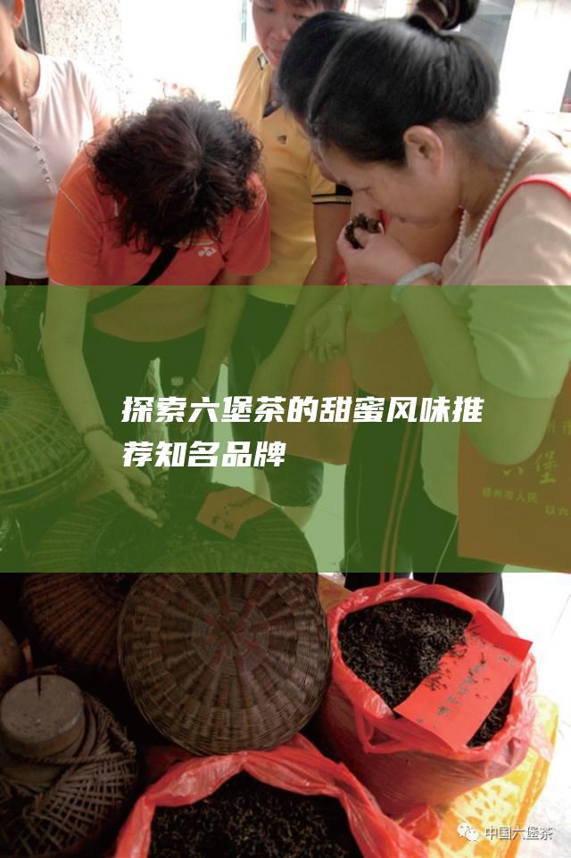 探索六堡茶的甜蜜风味：推荐知名品牌