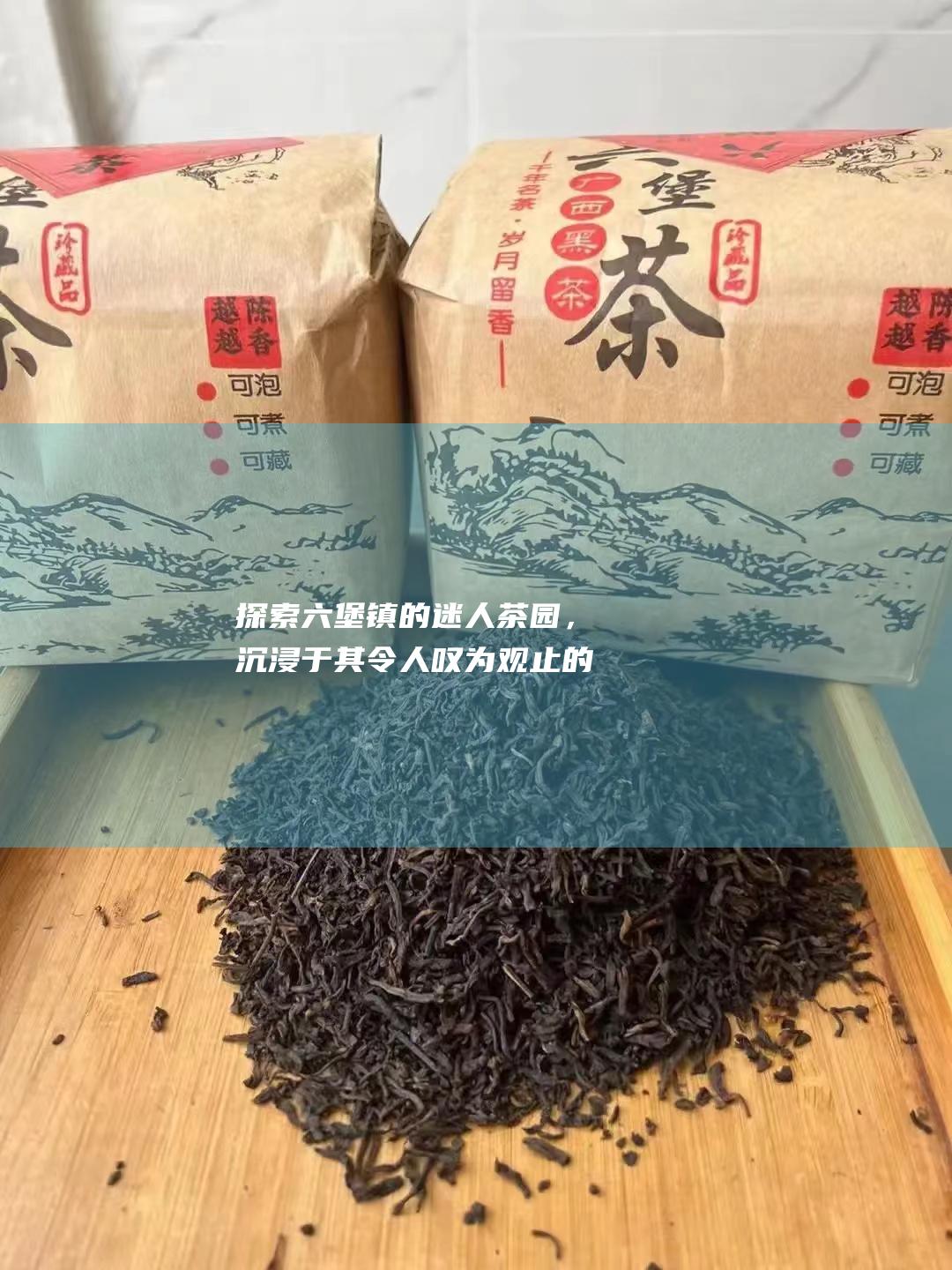 探索六堡镇的迷人茶园，沉浸于其令人叹为观止的风景和丰富的文化。