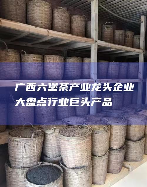 广西产业龙头企业大盘点行业巨头产品