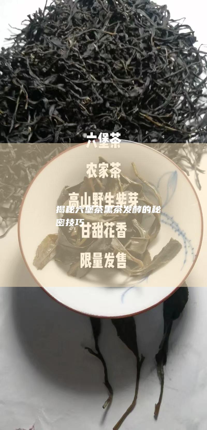 揭秘六堡茶发酵的秘密技巧