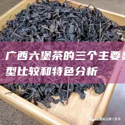 广西六堡茶的三个主要类型：比较和特色分析