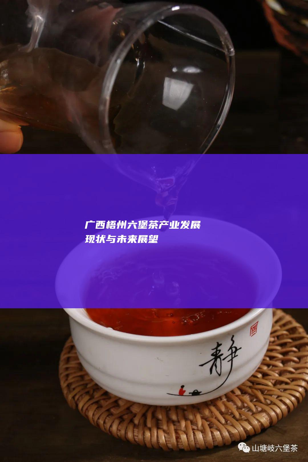 广西梧州六堡茶产业：发展现状与未来展望