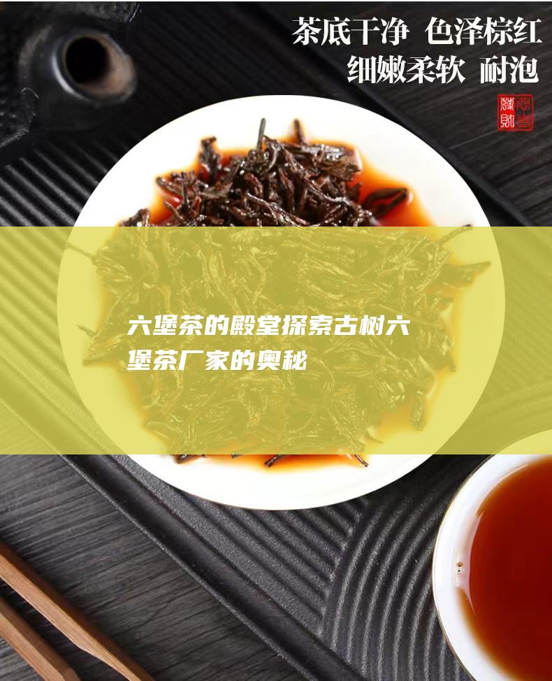 六堡茶的殿堂：探索古树六堡茶厂家的奥秘