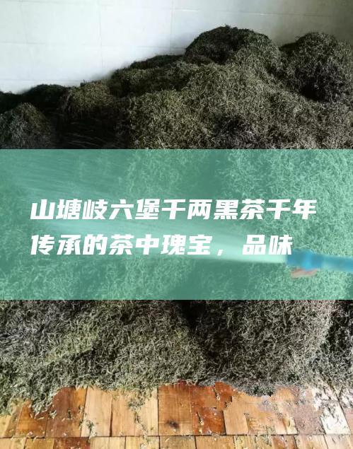 山塘岐六堡千两千年传承的茶中瑰宝，品味