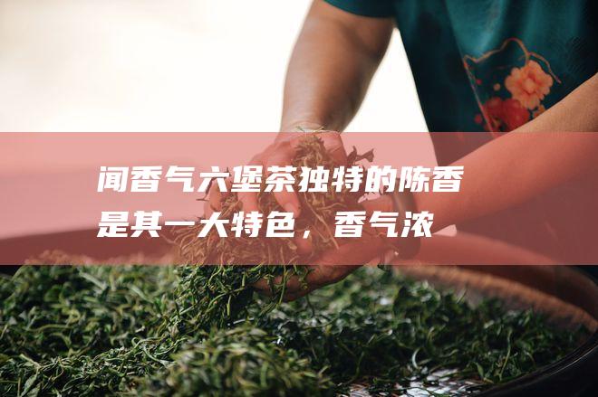 闻香气：六堡茶独特的陈香是其一大特色，香气浓郁而纯正。