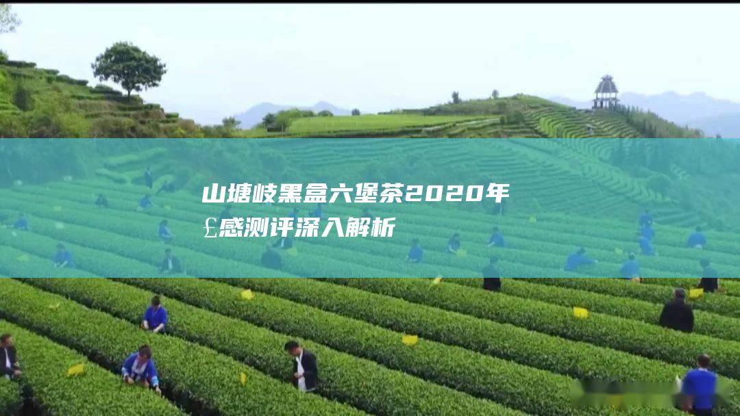 山塘岐黑盒茶2020年测评深入解析