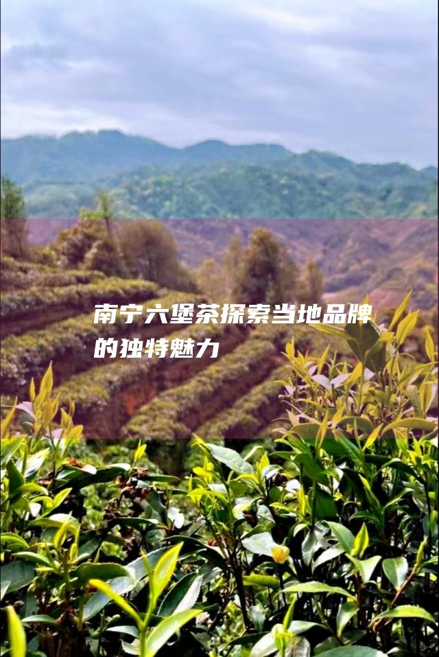 南宁茶探索当地的独特魅力