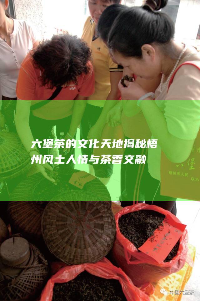 六堡茶的文化天地：揭秘梧州风土人情与茶香交融的魅力