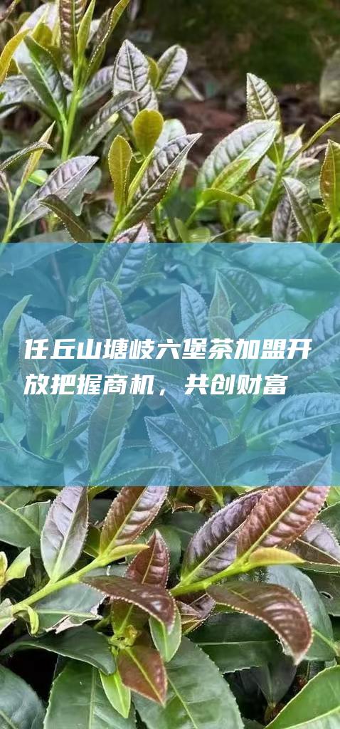 任丘山塘岐六堡茶加盟开放：把握商机，共创财富