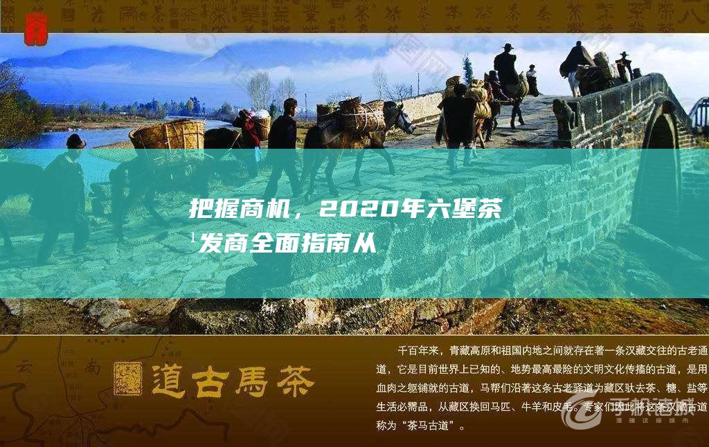 把握商机，2020年六堡茶批发商全面指南：从源头到市场