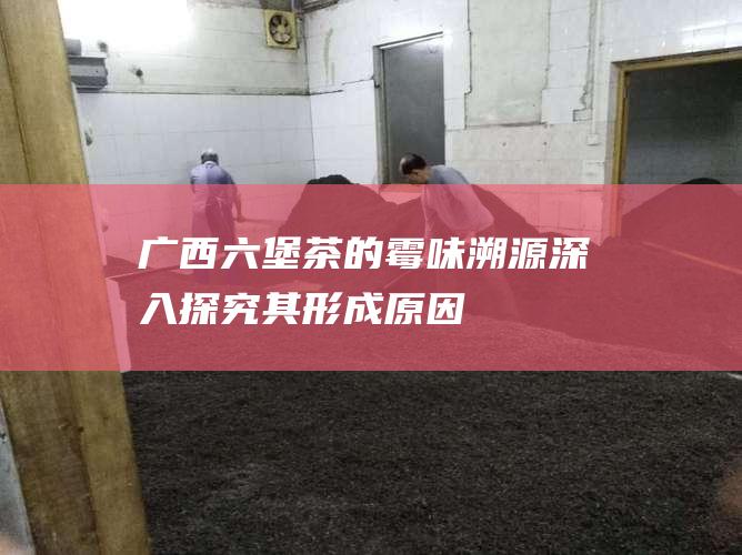 广西六堡茶的霉味溯源：深入探究其形成原因