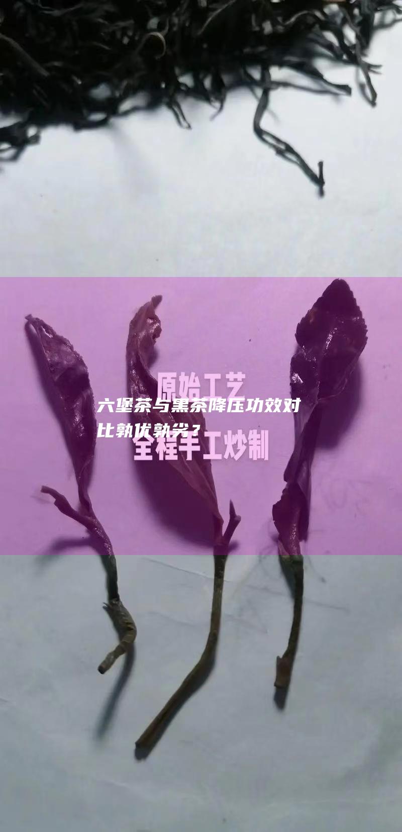 六堡茶与黑茶降压功效对比：孰优孰劣？