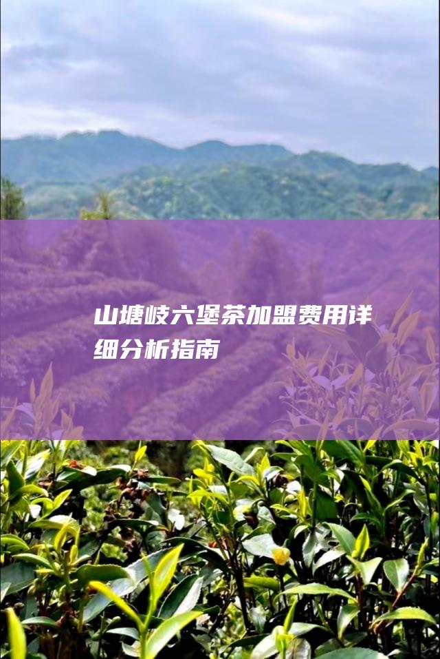 山塘岐六堡茶加盟费用详细分析指南