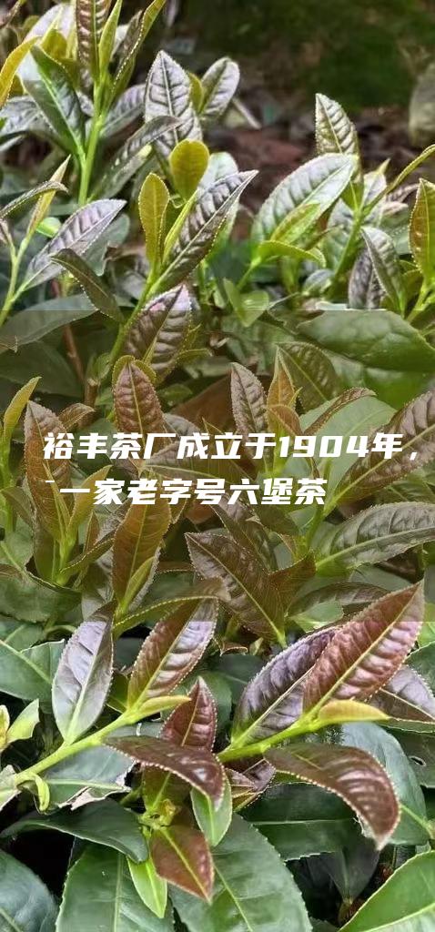 裕丰茶厂成立于1904年，是一家老字号六堡茶厂。其产品以陈年老茶著称，口感醇厚，回甘持久。