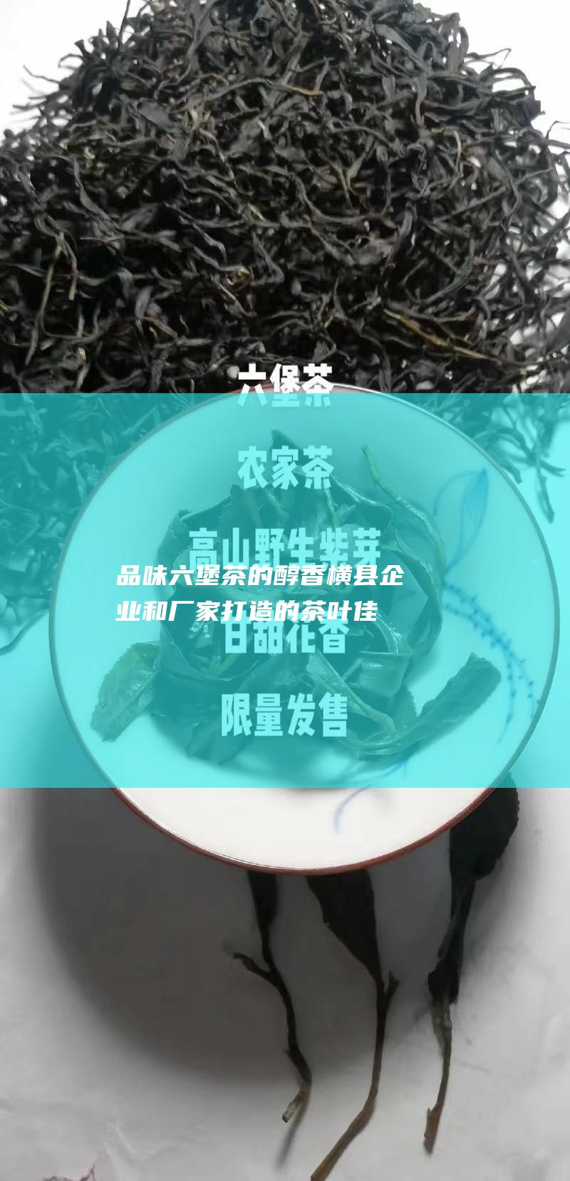 品味六堡茶的醇香：横县企业和厂家打造的茶叶佳作