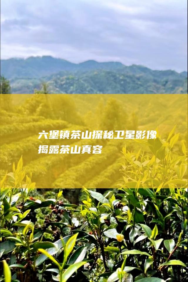 六堡镇茶山探秘卫星影像揭露茶山真容