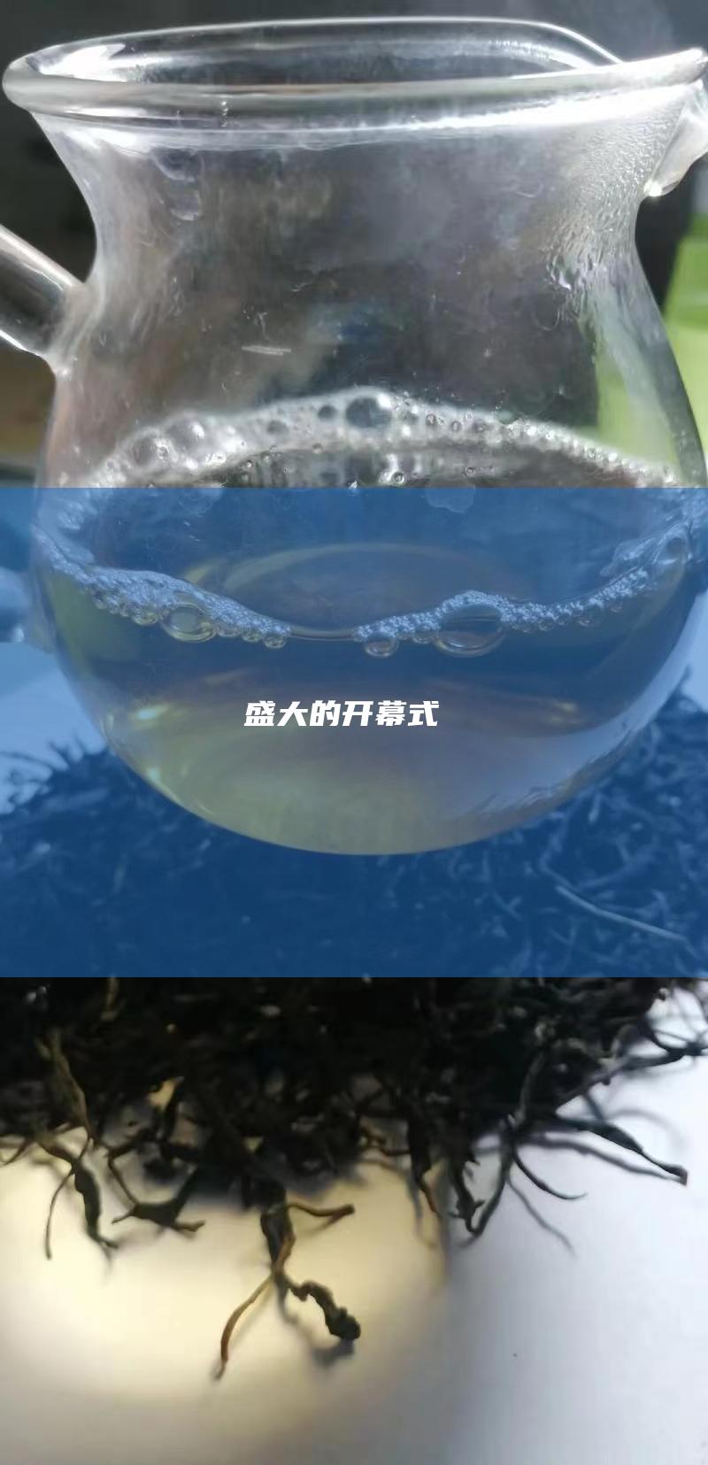 盛大的开幕式