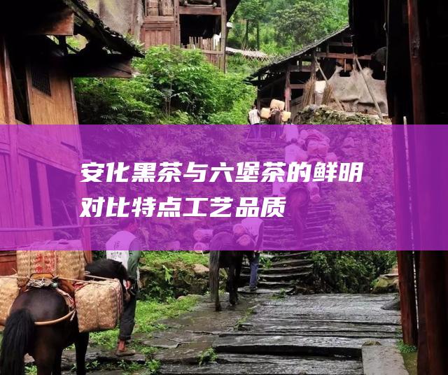 安化黑茶与六堡茶的鲜明对比：特点、工艺、品质差异剖析