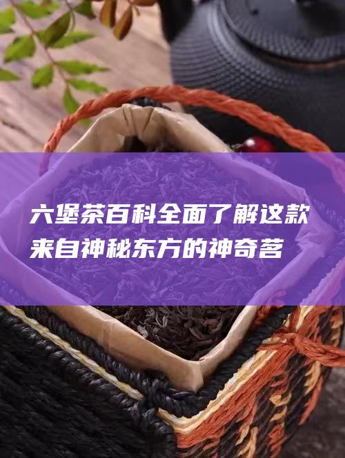 六堡茶百科全面了解这款来自神秘东方的神奇茗