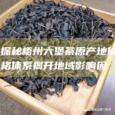 探秘梧州六堡茶原产地价格体系：揭开地域影响因素