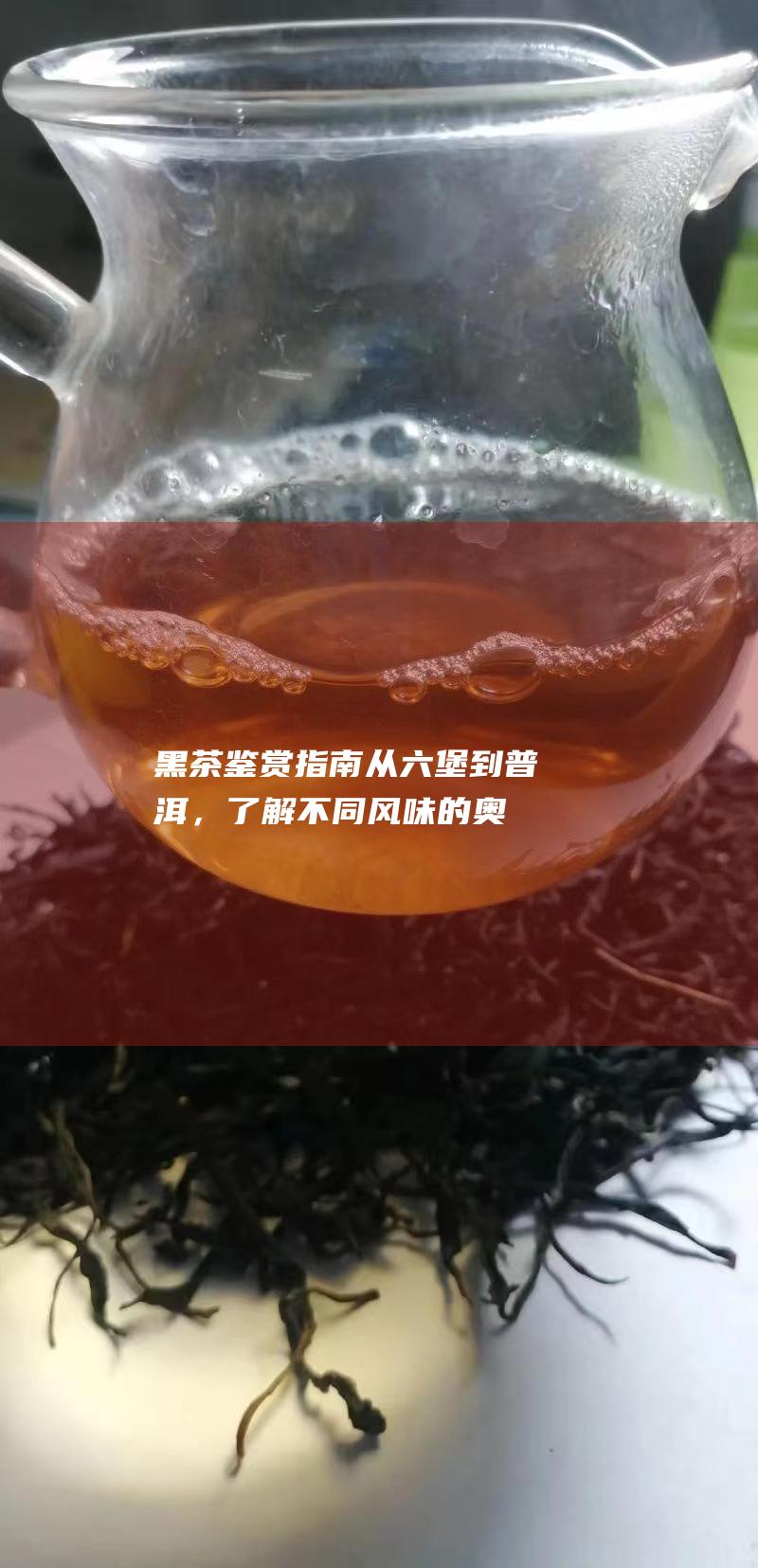 黑茶鉴赏指南：从六堡到普洱，了解不同风味的奥秘