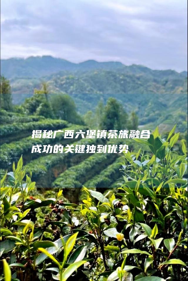 揭秘六堡镇茶旅融合成功的关键独到优势