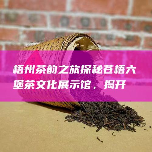 茶韵之旅探秘文化展示馆，揭开