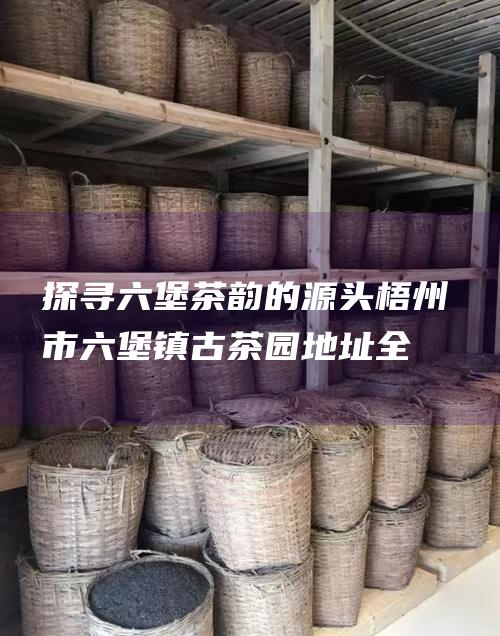 探寻六堡茶韵的源头：梧州市六堡镇古茶园地址全解析