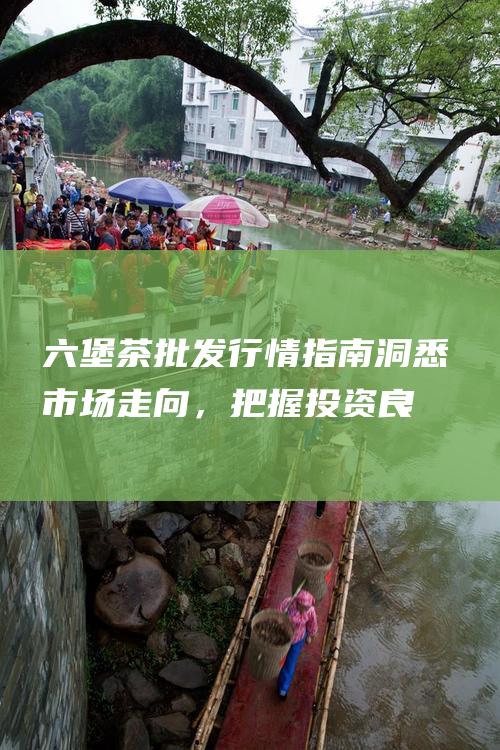 六堡茶批发行情指南：洞悉市场走向，把握投资良机