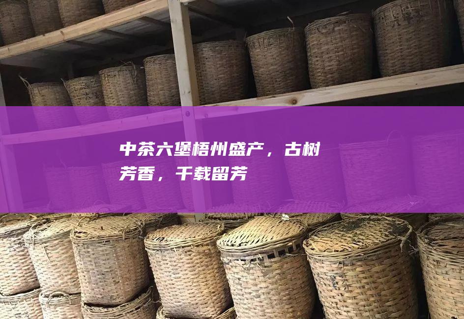 中茶六堡：梧州盛产，古树芳香，千载留芳