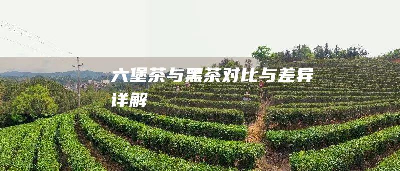 六堡茶与黑茶对比与差异详解