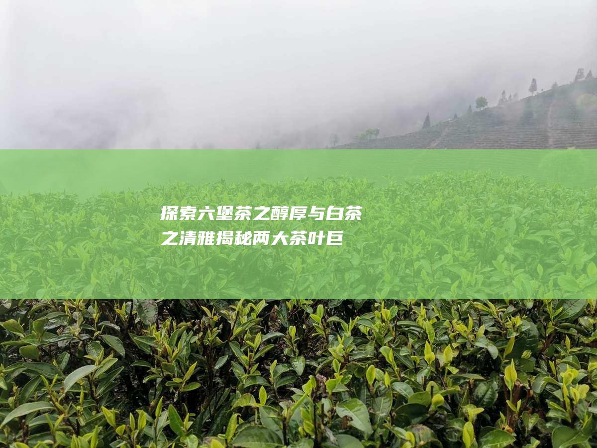 探索六堡茶之醇厚与白茶之清雅：揭秘两大茶叶巨匠的差异