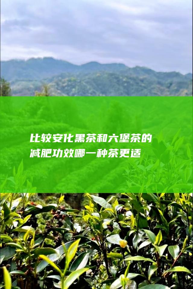 比较安化黑茶和茶的减肥功效哪一种茶更适