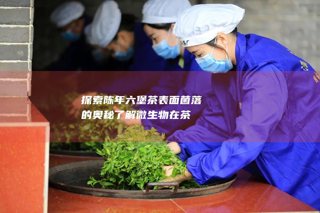 探索陈年六堡茶表面菌落的奥秘：了解微生物在茶叶醇化中的影响