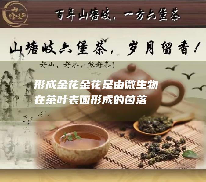 形成金花：金花是由微生物在茶叶表面形成的菌落，金花的存在一方面可以抑制杂菌的生长，另一方面可以为茶叶增添独特的香气和保健功效。