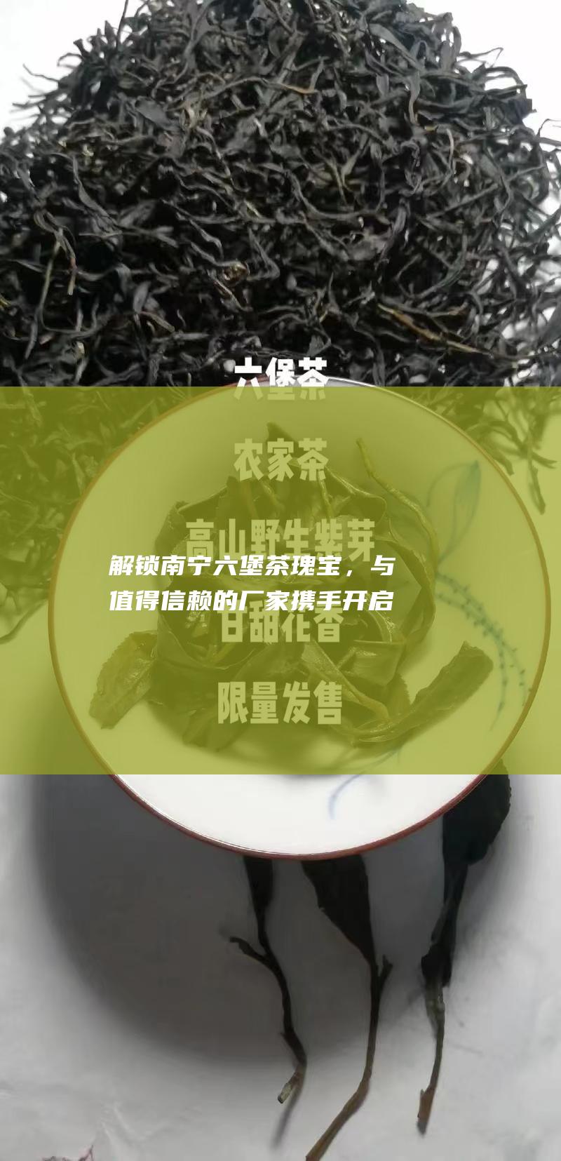 解锁南宁六堡茶瑰宝，与值得信赖的厂家携手开启