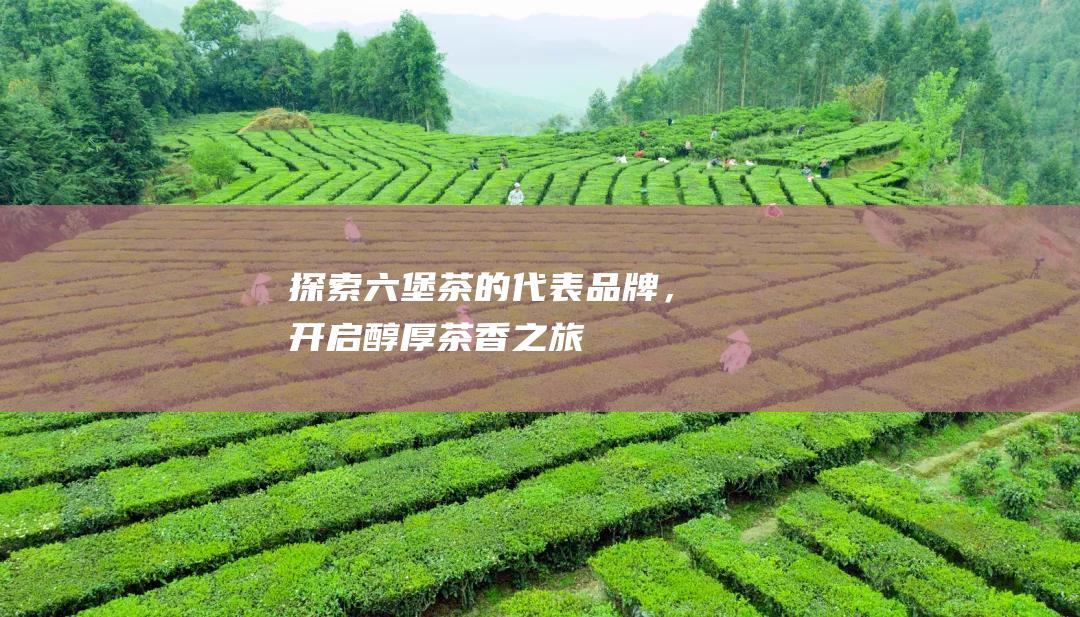 探索六堡茶的代表品牌，开启醇厚茶香之旅