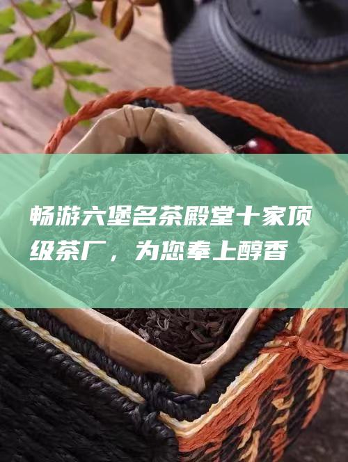 畅游六堡名茶殿堂：十家顶级茶厂，为您奉上醇香体验