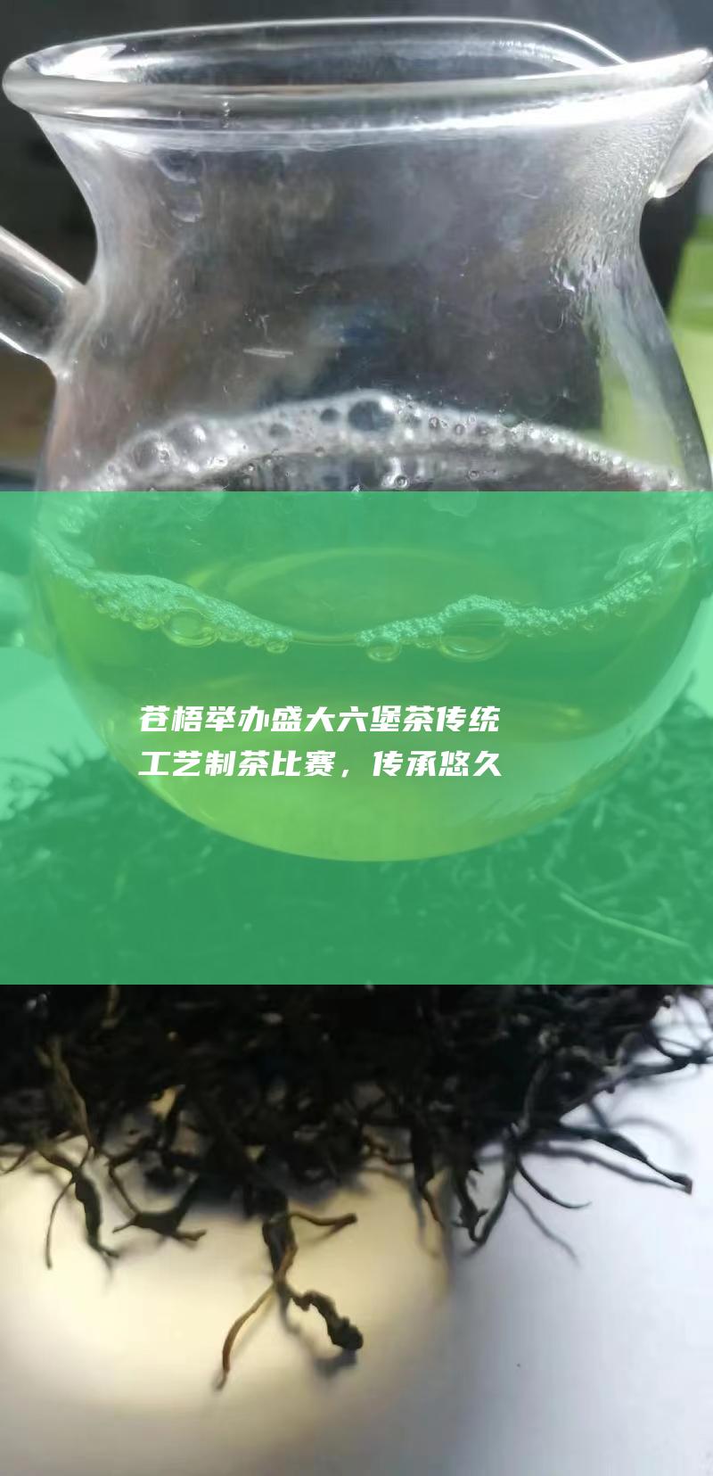 苍梧举办盛大六堡茶传统工艺制茶比赛，传承悠久茶文化