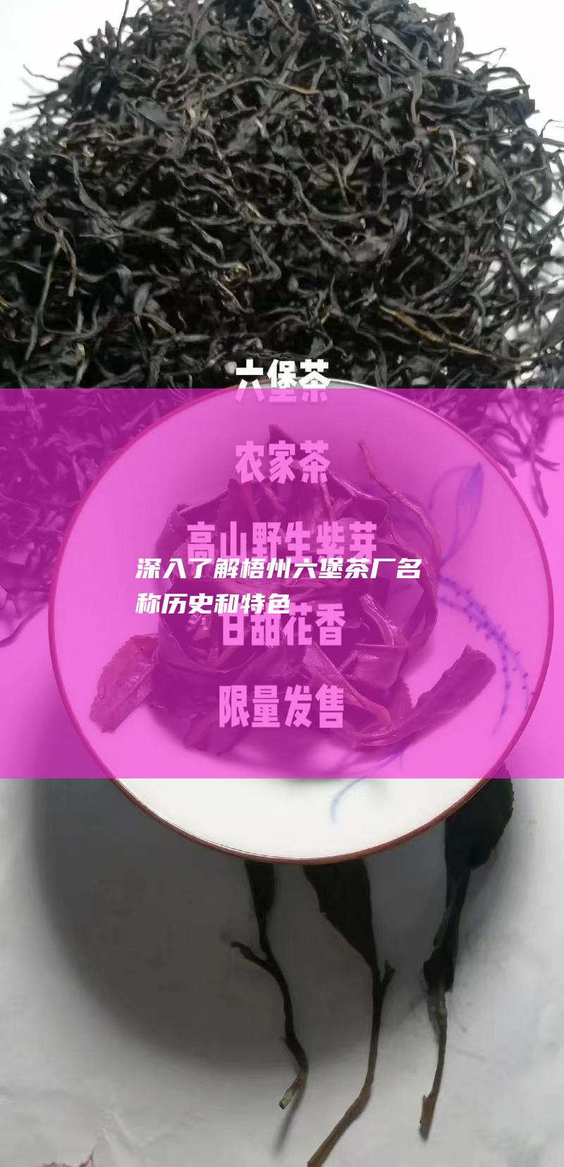 深入了解茶厂名称历史和特色