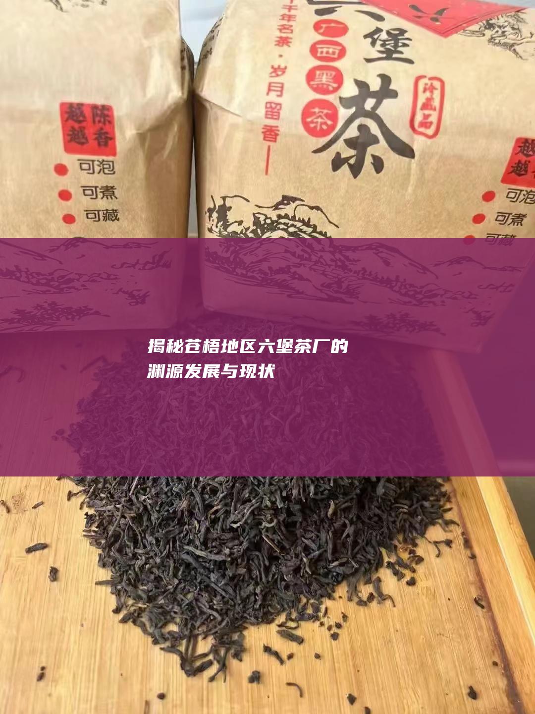 揭秘苍梧地区茶厂的渊源与现状