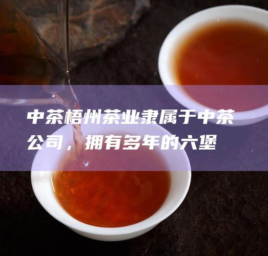 中茶梧州茶业：隶属于中茶公司，拥有多年的六堡茶生产经验，其六堡茶品质优异，深受消费者喜爱。