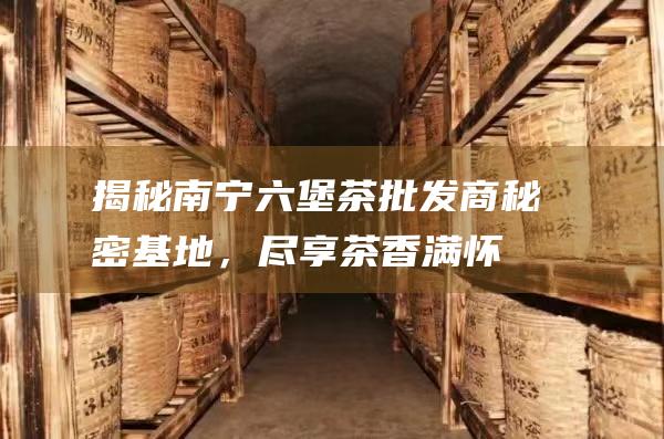 揭秘南宁六堡茶批发商秘密基地，尽享茶香满怀