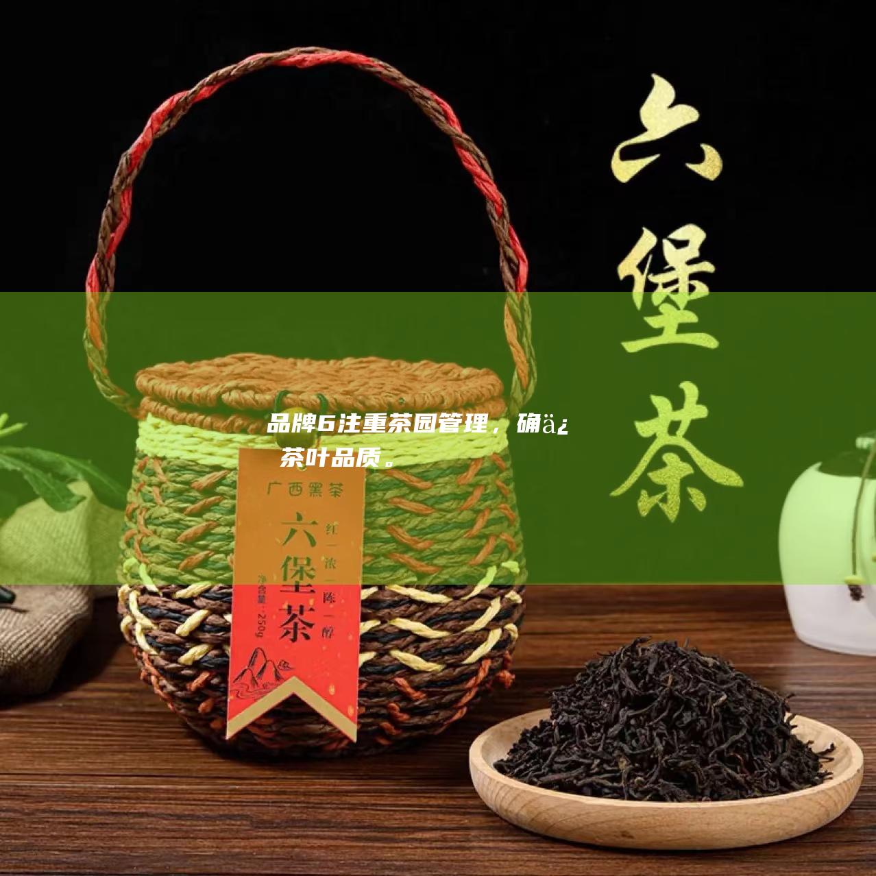 6注重茶园管理，确保茶叶品质。