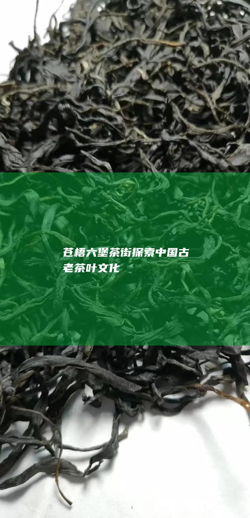 苍梧六堡茶街：探索中国古老茶叶文化