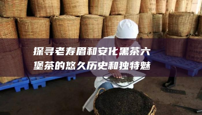 探寻老寿眉和安化黑茶六堡茶的悠久历史和独特魅力