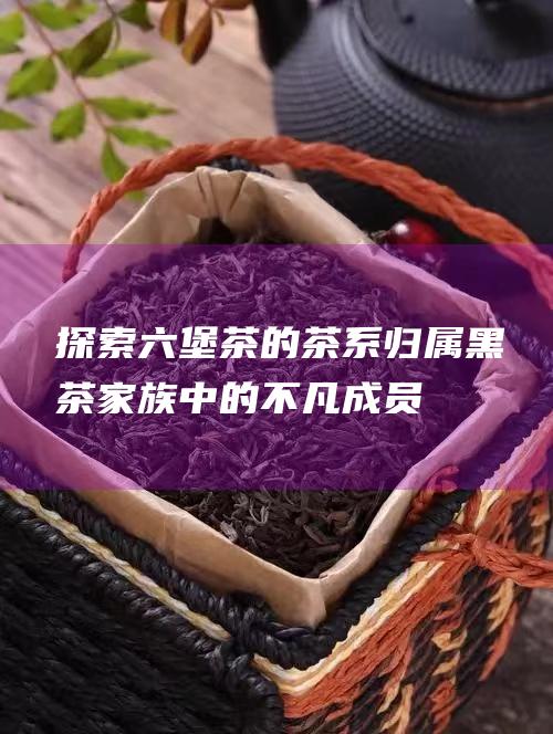 探索六堡茶的茶系归属黑茶家族中的不凡成员