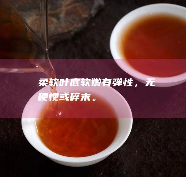 柔软叶底软嫩有弹性，无硬梗或碎末。